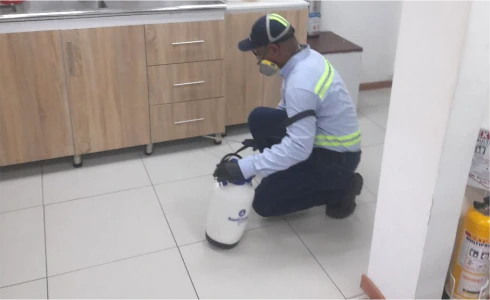 Imagen de contenido
