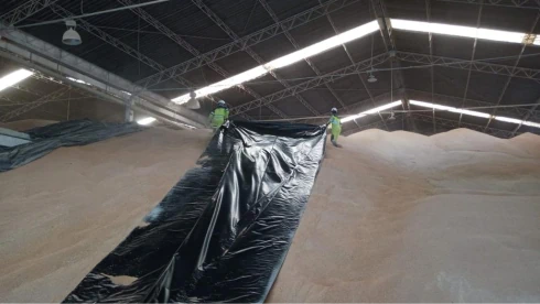 Imagen de contenido